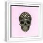 White Frame