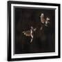 Gramercy Black
