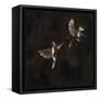 Canvas Black