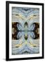 Gramercy Black