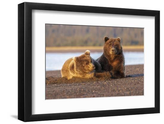 Premium Photographic Print, , large
