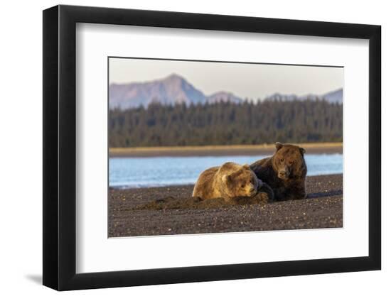 Premium Photographic Print, , large