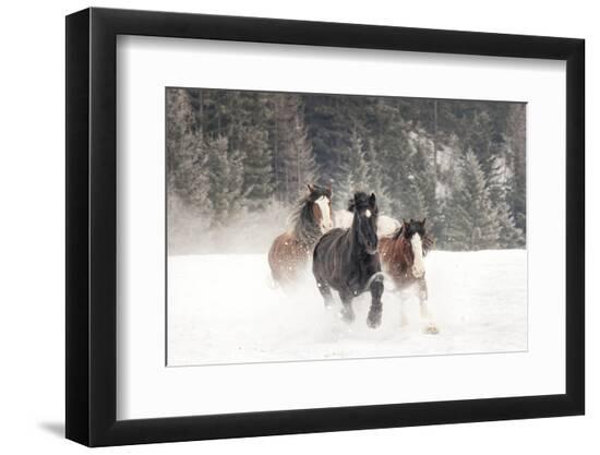 Premium Photographic Print, , large