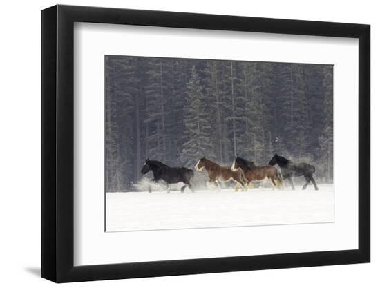 Premium Photographic Print, , large