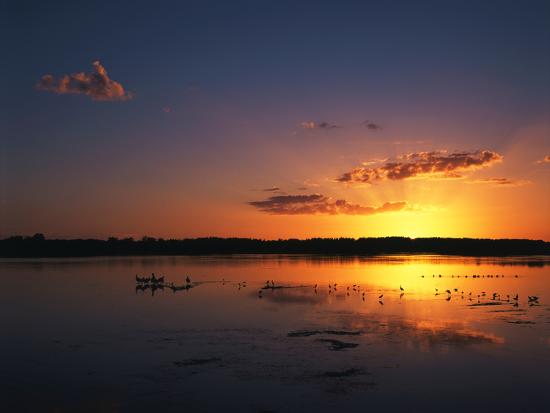 Photographic Print, , large