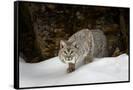 Canvas Black
