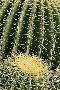 Laminate