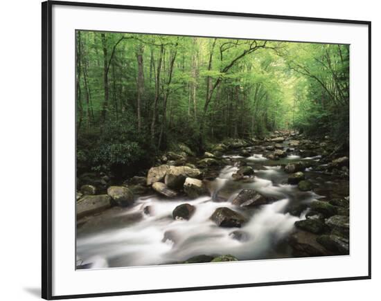 Framed Photographic Print, , large