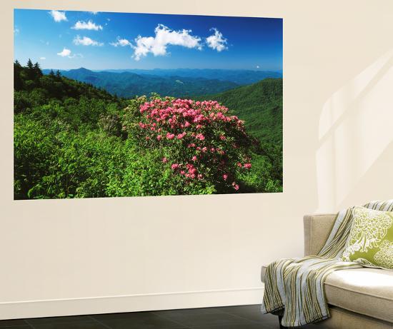 Giant Art Print, , large