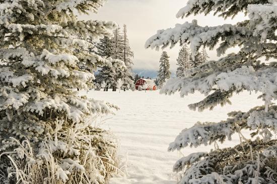 Premium Photographic Print, , large