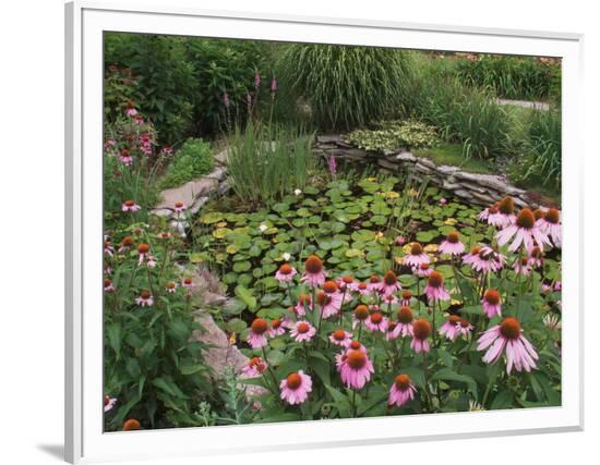 Framed Photographic Print, , large
