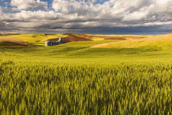 Photographic Print, , large