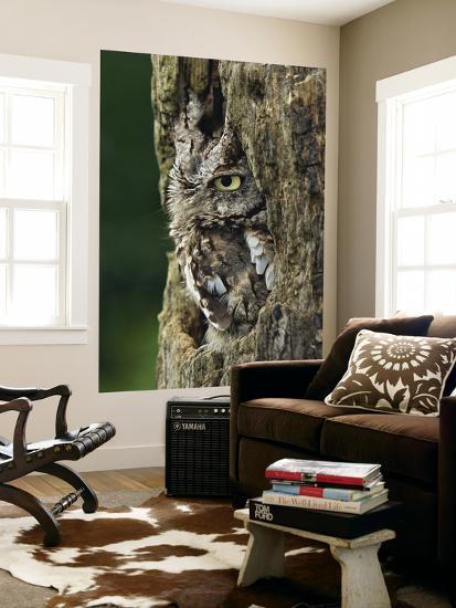 Giant Art Print, , large