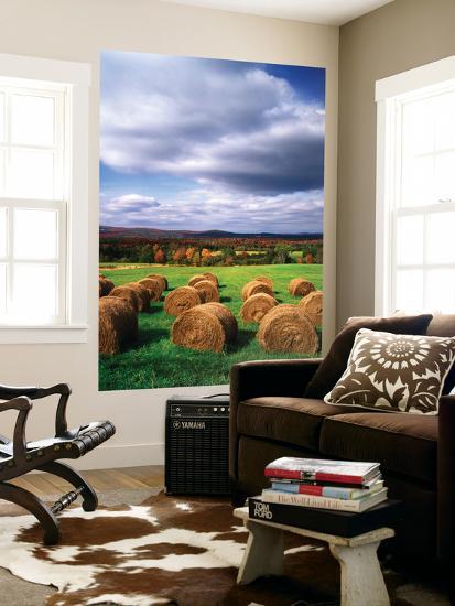 Giant Art Print, , large