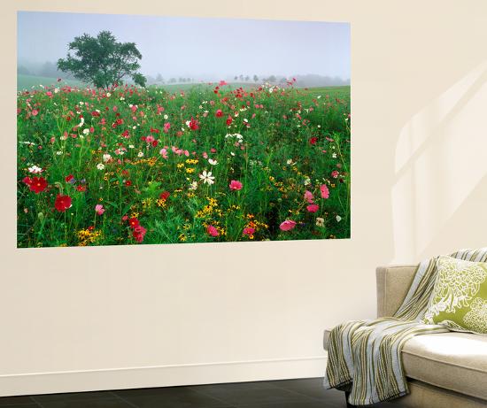 Giant Art Print, , large