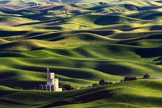 Photographic Print, , large