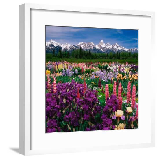 Framed Photographic Print, , large