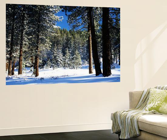 Giant Art Print, , large