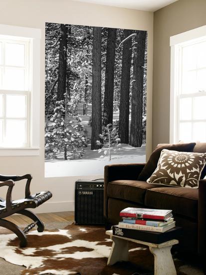 Giant Art Print, , large