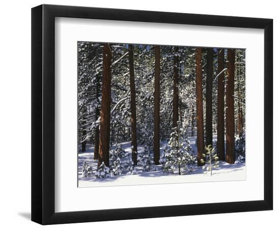 Premium Photographic Print, , large