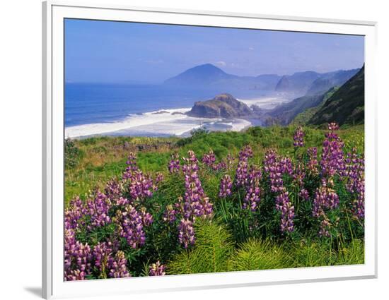 Framed Photographic Print, , large
