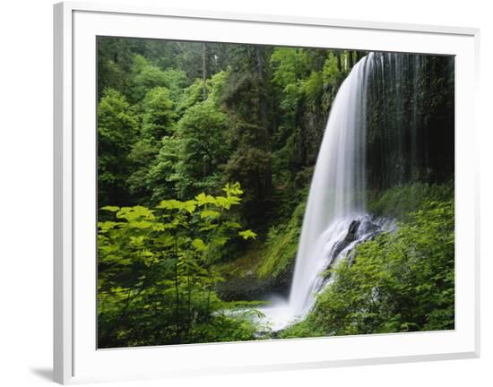 Framed Photographic Print, , large