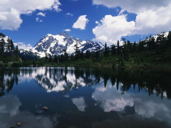Premium Photographic Print, , large