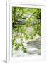 Gramercy White