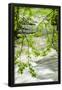 Essential Black