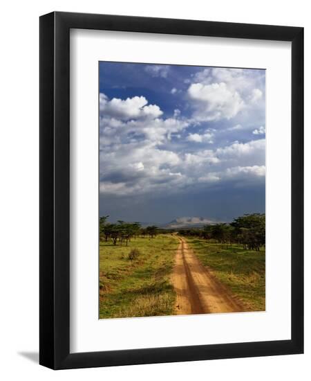 Premium Photographic Print, , large