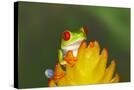 Stretched Canvas