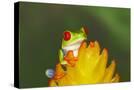 Stretched Canvas
