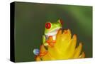 Stretched Canvas