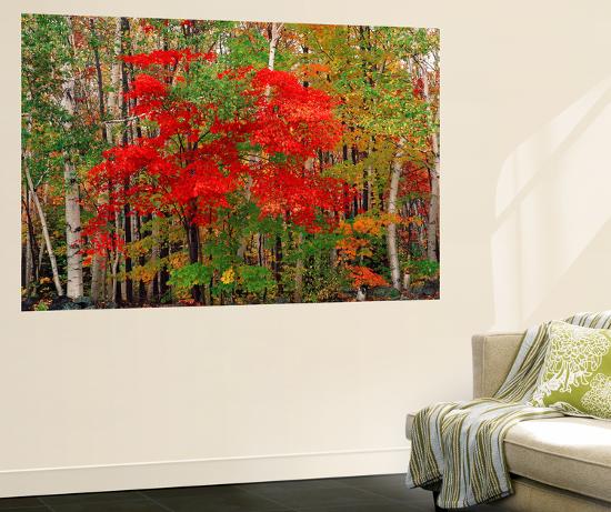 Giant Art Print, , large