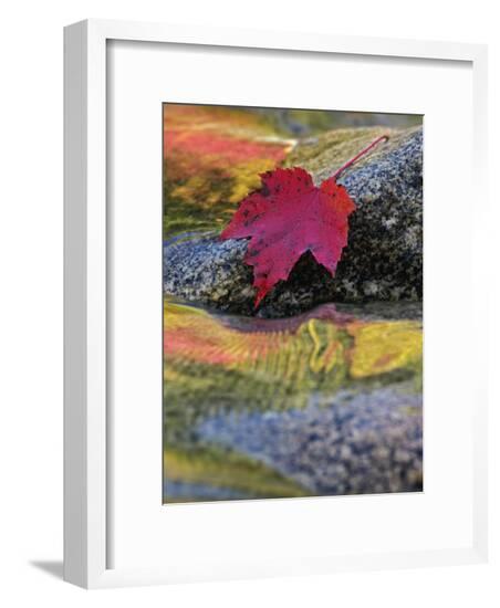 Framed Photographic Print, , large