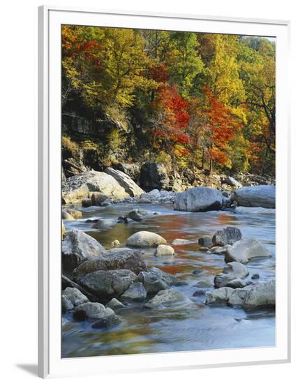 Framed Photographic Print, , large