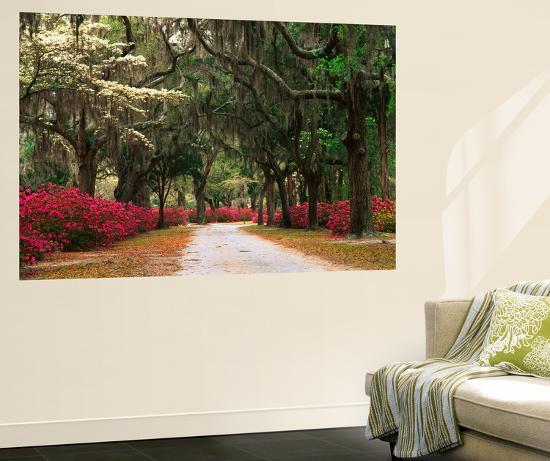 Giant Art Print, , large