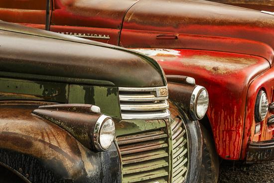 Photographic Print, , large