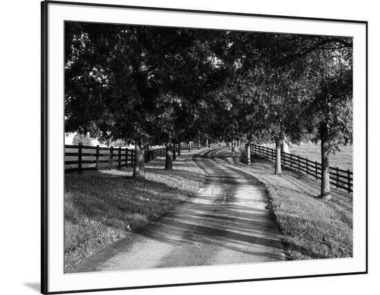 Framed Photographic Print, , large