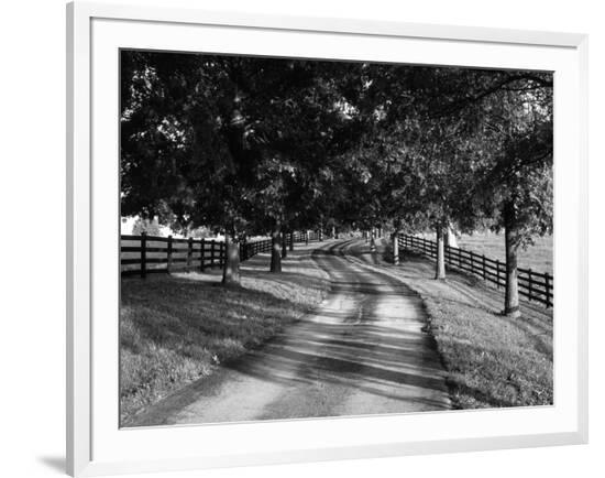 Framed Photographic Print, , large