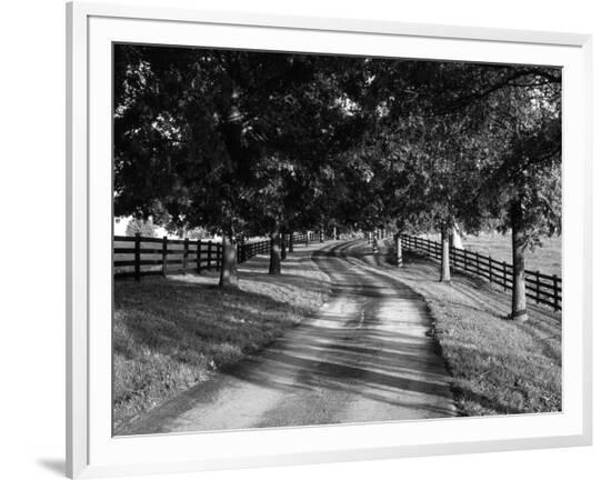 Framed Photographic Print, , large