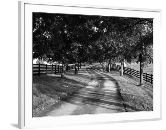 Framed Photographic Print, , large