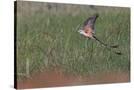 Stretched Canvas