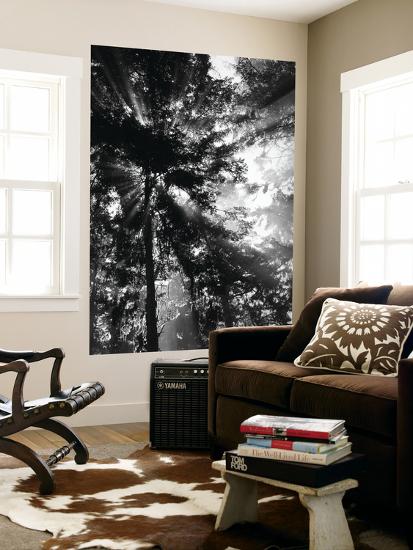 Giant Art Print, , large
