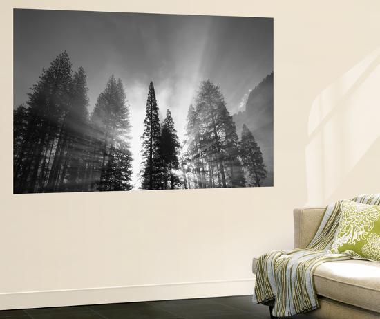 Giant Art Print, , large