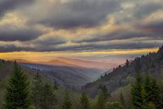 Row of Trees and Country Lane at Dawn, Bluegrass Region, Kentucky, USA-Adam Jones-Photographic Print