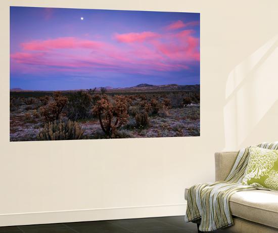 Giant Art Print, , large