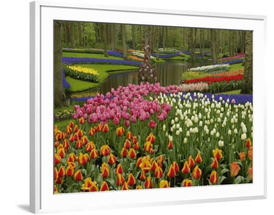 Framed Photographic Print, , large
