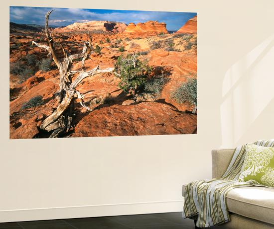 Giant Art Print, , large