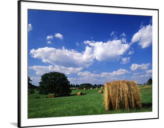Framed Photographic Print, , large